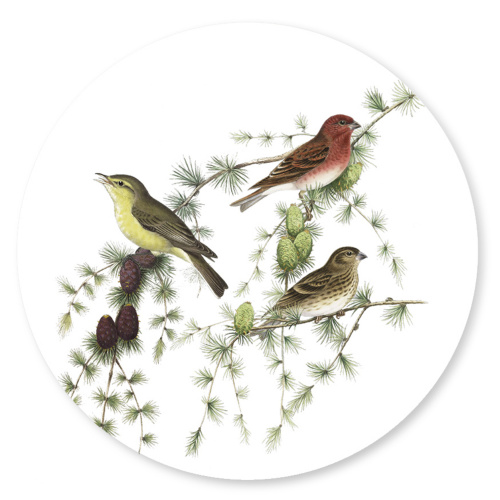 Koustrup & Co. glasbrikker - fugle i nåletræ