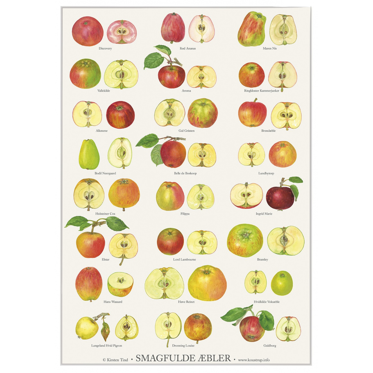 Koustrup & Co. plakat med smagfulde æbler - A2