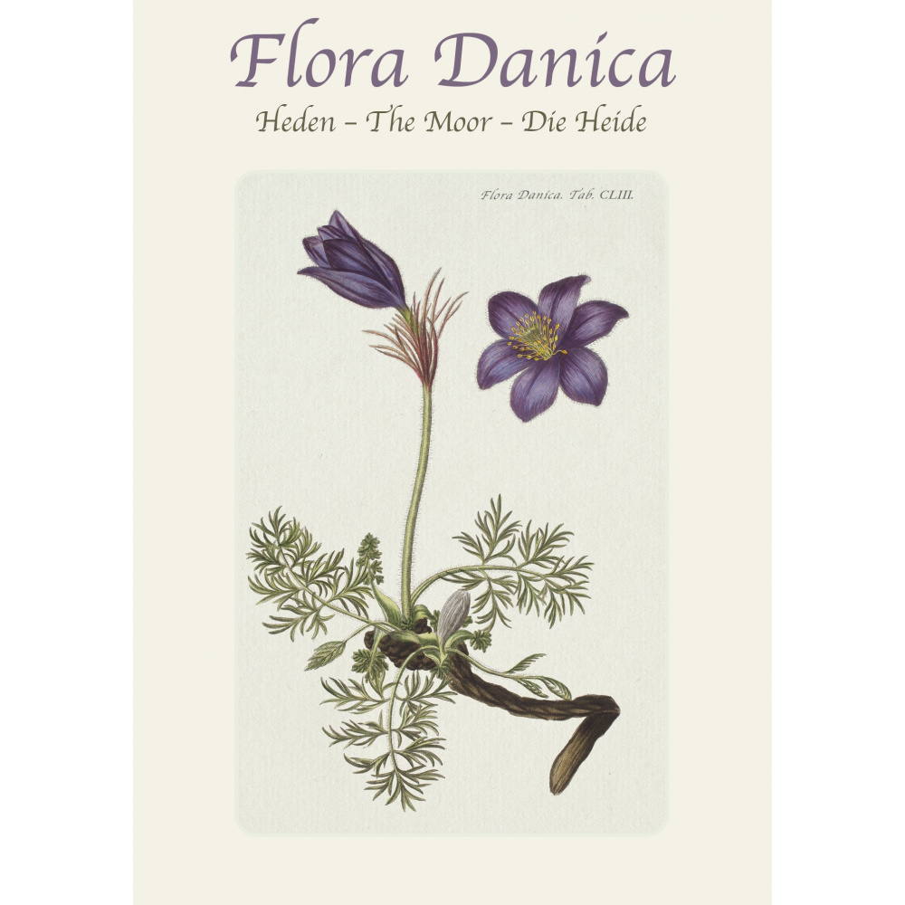 Flora Danica kortmappe - heden