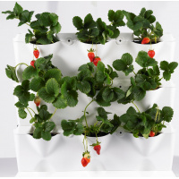 Minigarden Vertical plantevæg - sort
