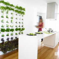 Minigarden Vertical køkkenhave - sort