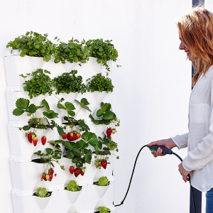 Minigarden Vertical køkkenhave - grøn