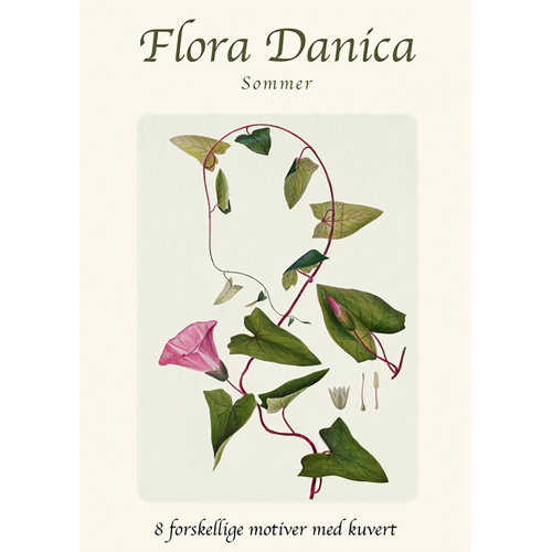 Flora Danica kortmappe - sommer