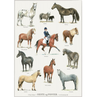 Koustrup & Co. plakat med heste og ponyer - A2