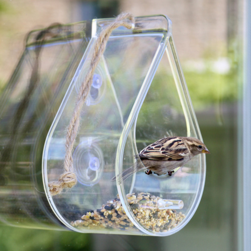 Wildlife World bird feeder for window and...