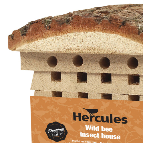 Hercules insekthus